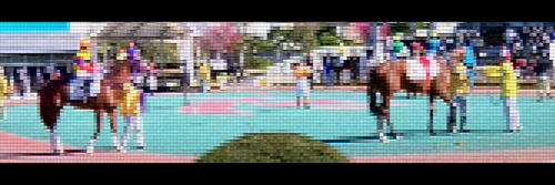 競馬場のパドックシーンのヘッダー背景素材（２）画像6