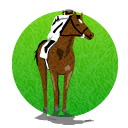 馬をなでる騎手のアイコン画像