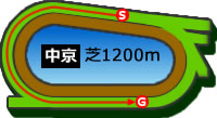 中京1200m芝コース画像