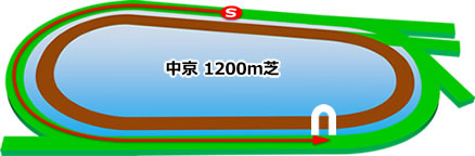 中京1200m芝コース画像