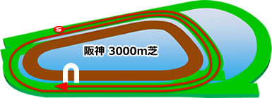 阪神3000m芝コース画像