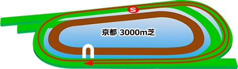 京都3000m芝コース画像