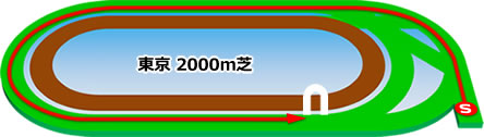 東京2000m芝コース画像