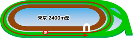 東京2400m芝コース画像