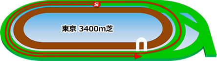 東京3400m芝コース画像