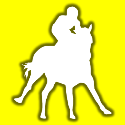 馬に騎乗している騎手のシルエットアイコン（１８）画像