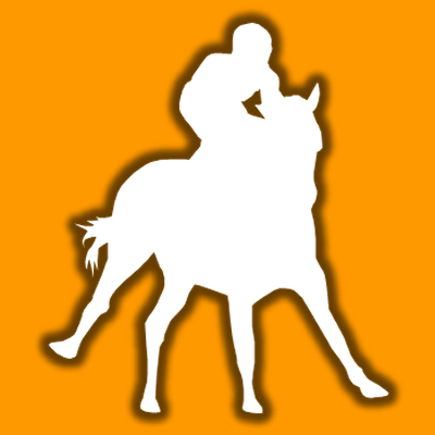 馬に騎乗している騎手のシルエットアイコン（１８）画像
