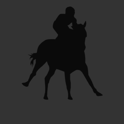 馬に騎乗している騎手のシルエットアイコン（２９）画像