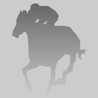 馬に騎乗している騎手のシルエットアイコン（４３）画像