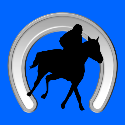 馬に騎乗している騎手のシルエットアイコン（６３）画像