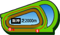 阪神2000m芝コース画像