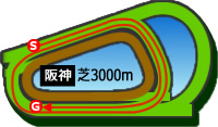 阪神3000m芝コース画像