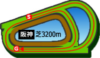 阪神3200m芝コース画像