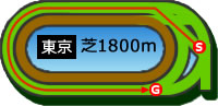 東京1800m芝コース画像