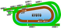 京都競馬場 距離別コース画像