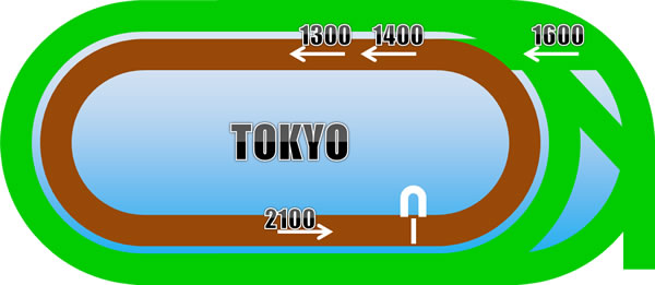 東京競馬場 距離別コース画像