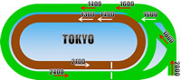 東京競馬場 距離別コース画像