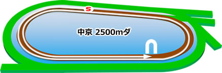 中京2500mダートコース画像