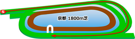 京都1800m芝コース画像