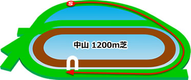 中山1200m芝コース画像