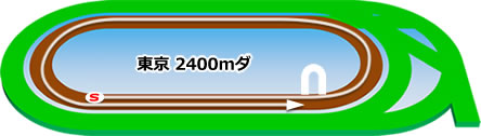 東京2400mダートコース画像