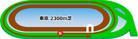東京2300m芝コース画像