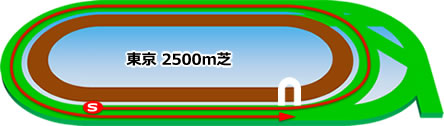 東京2500m芝コース画像